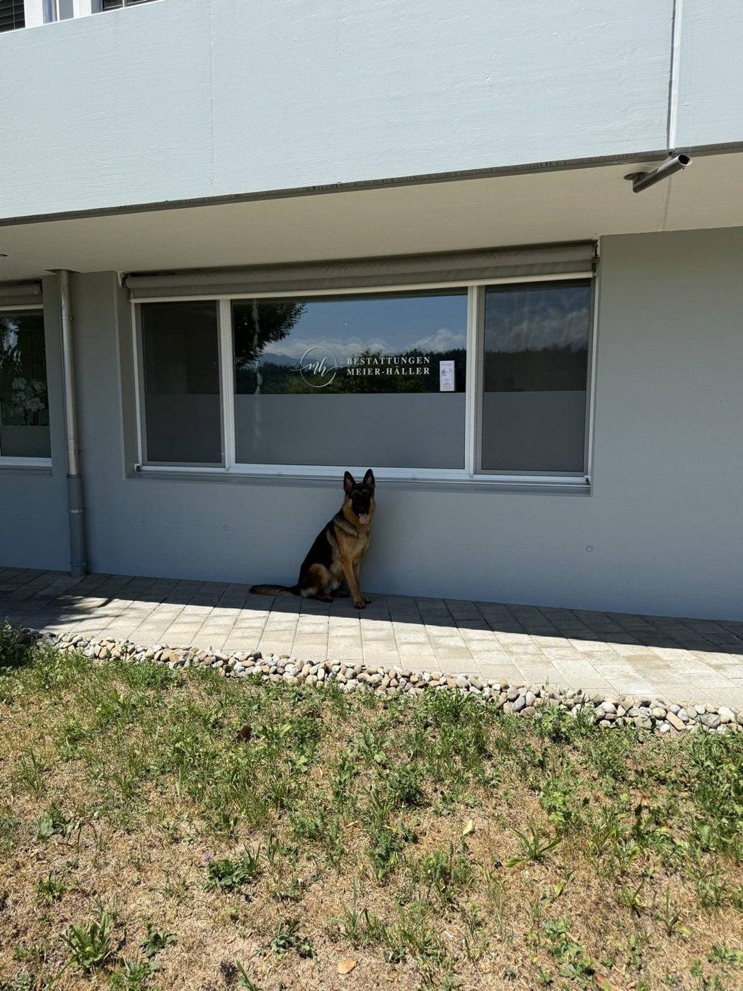 Unser Geschäft an der Dottenbergstrasse 25 in Adligenswil, mit Rex davor